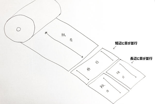 紙目解説