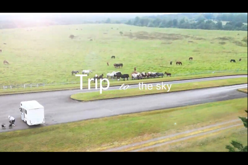 動画タイトル「Trip to the sky」